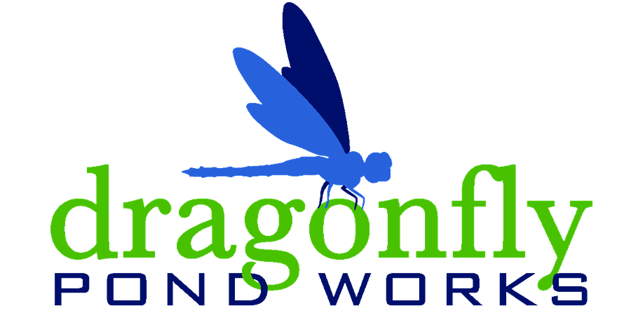 Dragonfly Pond Works Logo